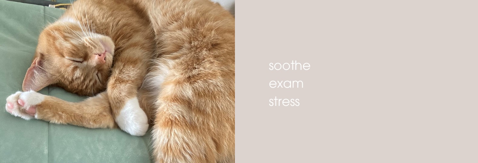 HOLISTIC SILK RETREAT SOOTHE EXAM STRESS