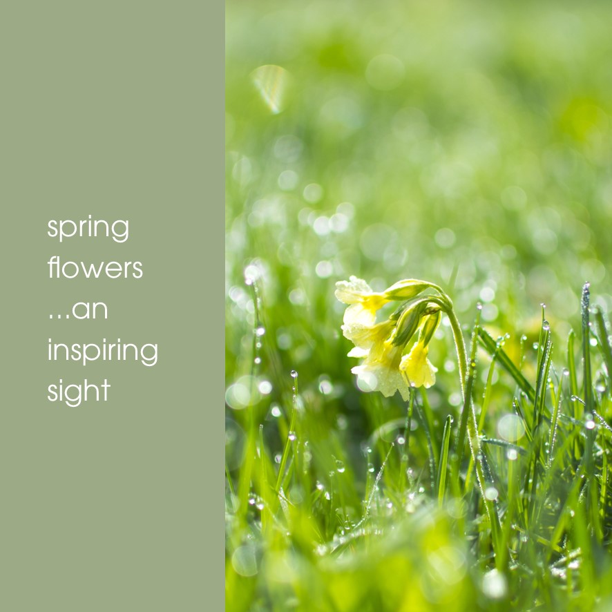 HOLISTIC SILK RETREAT The inspiration of Spring Flowers